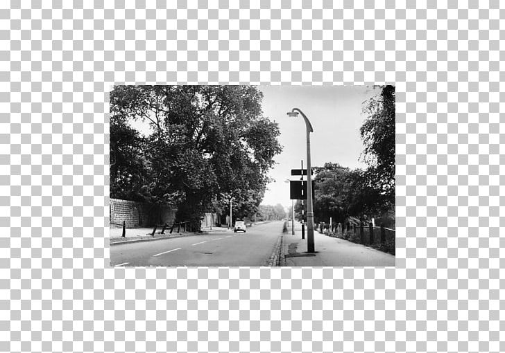 Street Light Photography PNG, Clipart, Black, Black And White, Hitsujigaoka Observation Hill, Lane, Light Free PNG Download