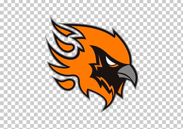 Tamworth Phoenix Phoenix Suns Gateshead Senators American Football Team PNG, Clipart, Bafa National Leagues, Bald Eagle, Beak, Bird, Bird Of Prey Free PNG Download