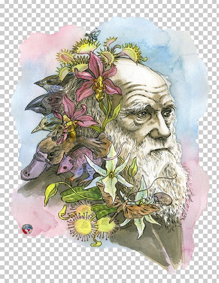 The Beak Of The Finch: A Story Of Evolution In Our Time The Theory Of Evolution Darwin Day Darwinism PNG, Clipart,  Free PNG Download