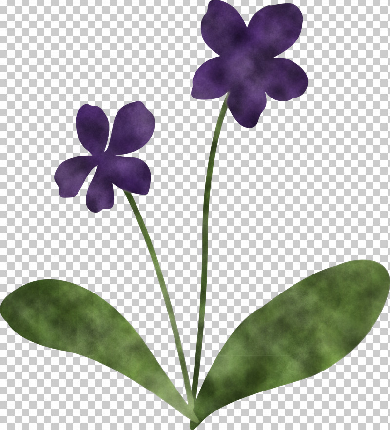 Violet Flower PNG, Clipart, Biology, Flower, Grasses, Herbaceous Plant, Leaf Free PNG Download