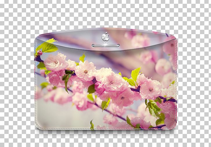 Flower Arranging Blossom Petal Floral Design PNG, Clipart, 4k Resolution, Blossom, Cherry Blossom, Computer, Cut Flowers Free PNG Download