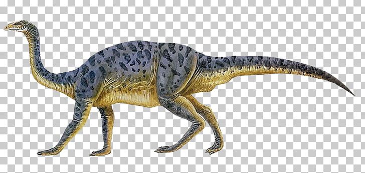 Plateosaurus Anchisaurus Velociraptor Sauropoda Dinosaur PNG, Clipart, Age Of Dinosaurs, Ancient, Ancient Animal, Animal, Animal Figure Free PNG Download