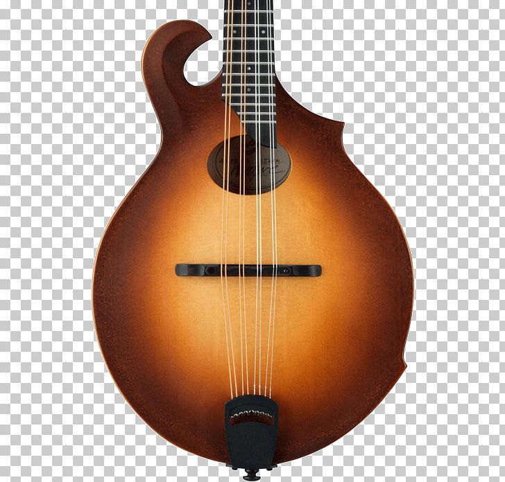 Acoustic Guitar Mandolin Tiple Cuatro Bass Guitar PNG, Clipart, Acoustic Electric Guitar, Cuatro, Guitar Accessory, Lute, Musical Instrument Free PNG Download