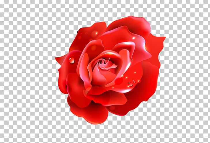 Flower Balloon Red PNG, Clipart, Ballonnet, Beautiful, Color, Cut Flowers, Day Free PNG Download