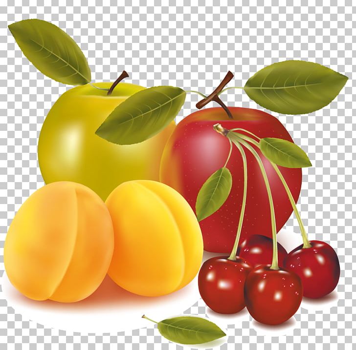 Fruit Drawing PNG, Clipart, Acerola Family, Apple, Apricot, Art, Cherry Free PNG Download