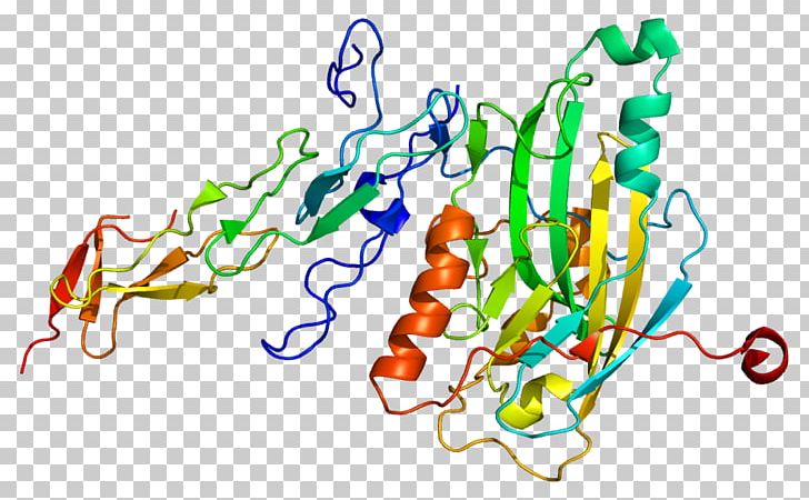 Herpesvirus Entry Mediator Protein TNF Receptor Superfamily LIGHT PNG, Clipart, Area, Art, Artwork, Cell Surface Receptor, Graphic Design Free PNG Download