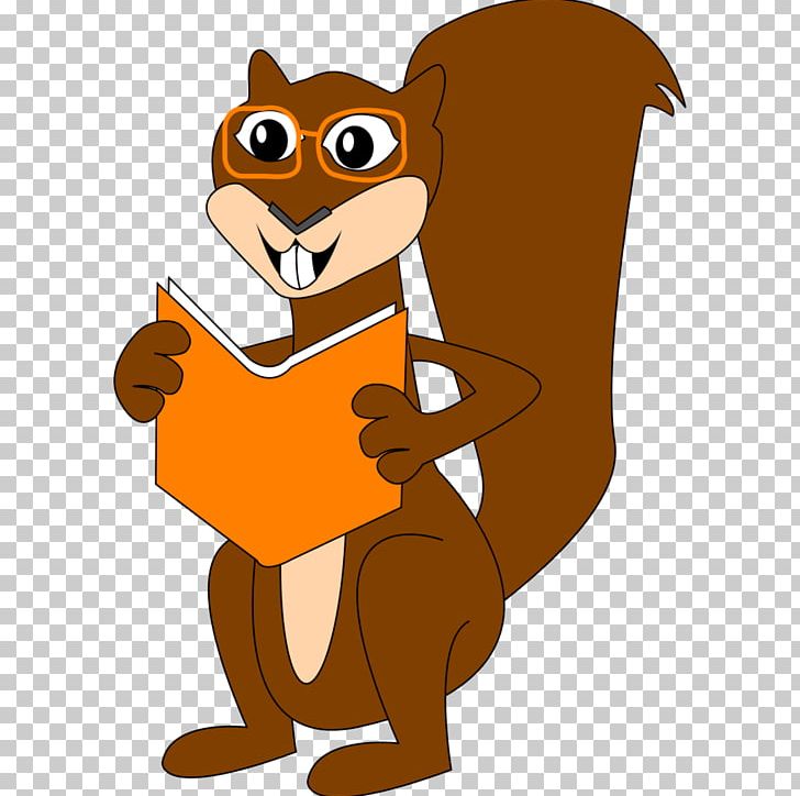 Squirrel PNG, Clipart, Animals, Bear, Beaver, Carnivoran, Cartoon Free PNG Download
