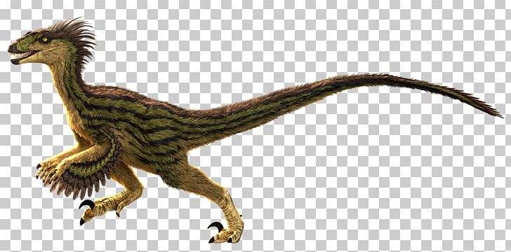 Velociraptor Primal Carnage: Extinction Tyrannosaurus Primal Rage PNG, Clipart, Animals, Bearded Dragon, Deinonychus, Dinosaur, Extinction Free PNG Download