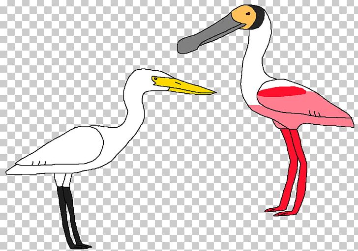 Water Bird Stork Beak PNG, Clipart, Animal, Animals, Beak, Bird, Cartoon Free PNG Download