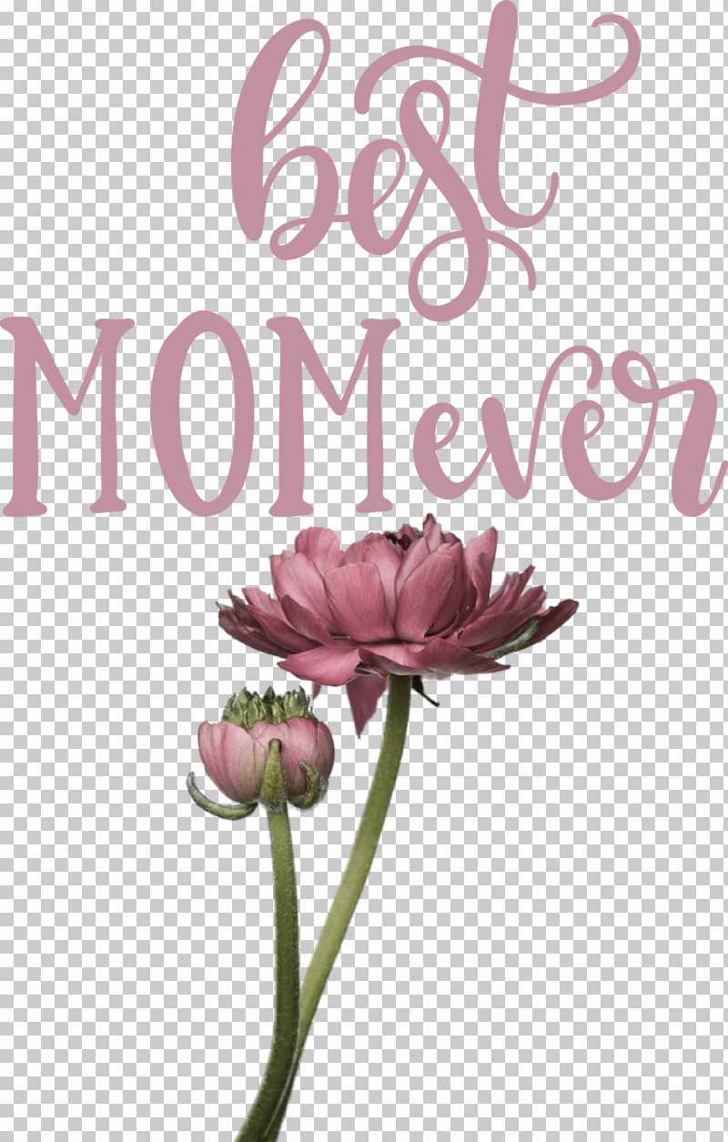 Mothers Day Best Mom Ever Mothers Day Quote PNG, Clipart, Best Mom Ever, Flower, Interior Design Services, Mothers Day, Picture Frame Free PNG Download