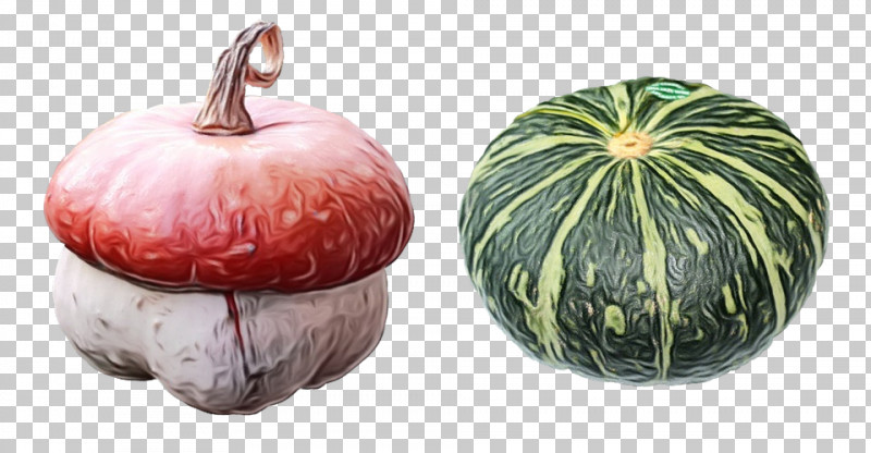 Pumpkin PNG, Clipart, Calabaza, Cucurbita, Food, Fruit, Paint Free PNG Download