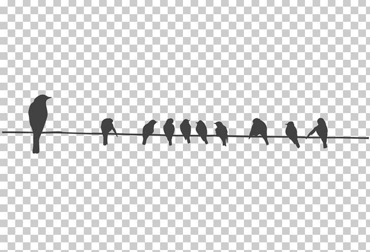 Bird Wire Columbidae Stencil PNG, Clipart, Angle, Animals, Beak, Bird, Birdcage Free PNG Download