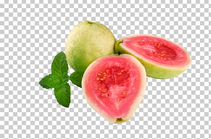 Juice Goiabada Common Guava Fruit PNG, Clipart, Citrullus, Common Guava, Cucumber Gourd And Melon Family, Dessert, Diet Food Free PNG Download