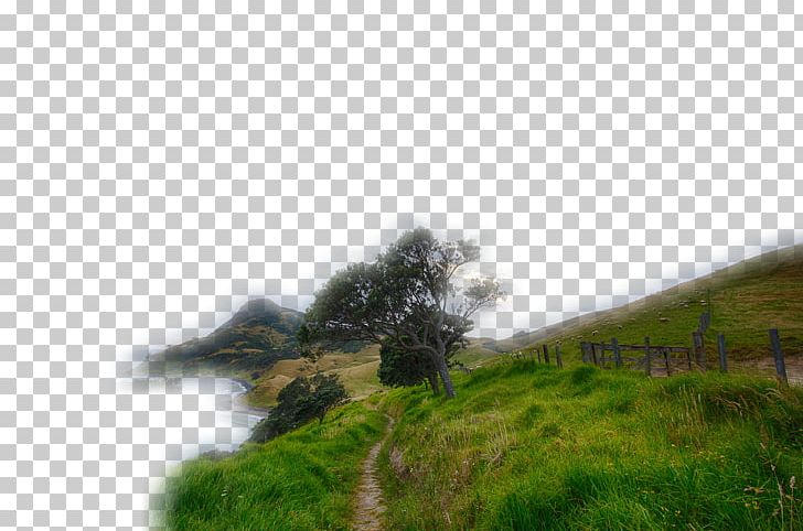 Landscape Scenery Terrain PNG, Clipart, Cloud, Computer Wallpaper, Desktop Wallpaper, Ecosystem, Fog Free PNG Download