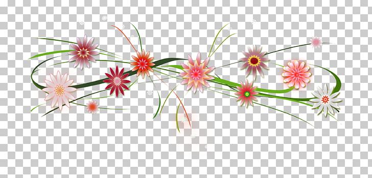 Petal Flower PNG, Clipart, Bloemen, Blossom, Blume, Branch, Computer Wallpaper Free PNG Download