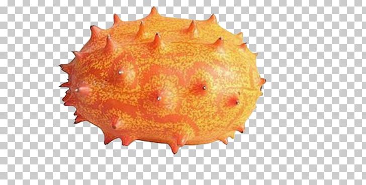 Africa Horned Melon Cucumber Muskmelon PNG, Clipart, Africa, Africa Honeydew, Cucumber, Cucumis, Cucurbitaceae Free PNG Download