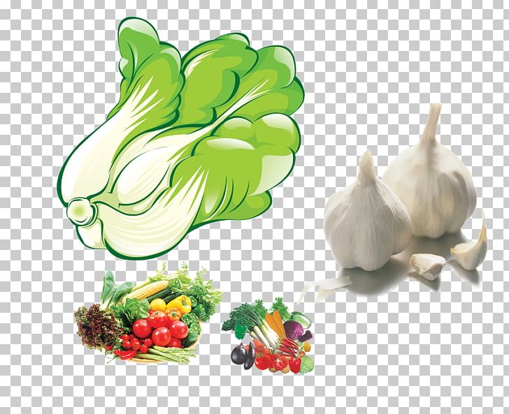 Chinese Cabbage Napa Cabbage Cartoon PNG, Clipart, Balloon Cartoon, Boy Cartoon, Cabbage, Cartoon, Cartoon Alien Free PNG Download