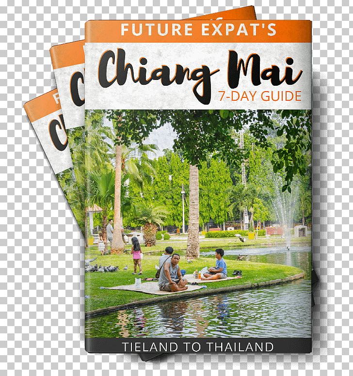 Mae Ngat Somboon Chon Dam Songkran Water Fight Travel Ruen Come In Hotel Chaing Mai PNG, Clipart, Accommodation, Advertising, Chiang Mai, Chiang Mai Province, Grass Free PNG Download