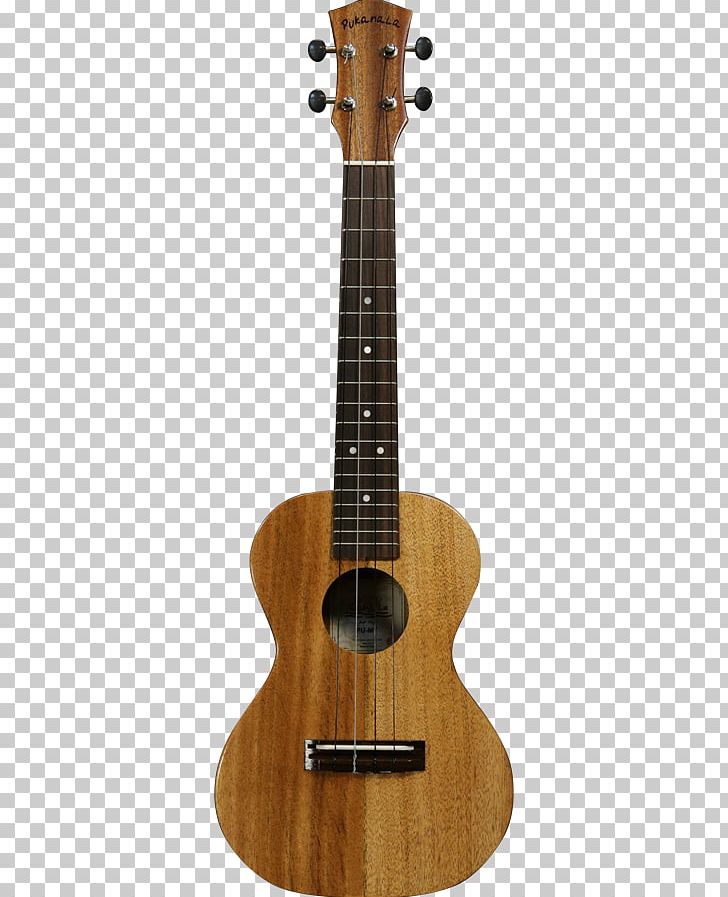 Steel-string Acoustic Guitar Classical Guitar PNG, Clipart,  Free PNG Download
