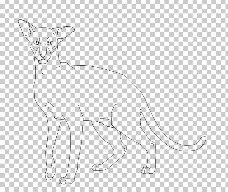 Whiskers Cat Lion Red Fox Dog PNG, Clipart, Animal, Animal Figure, Animals, Artwork, Big Cat Free PNG Download