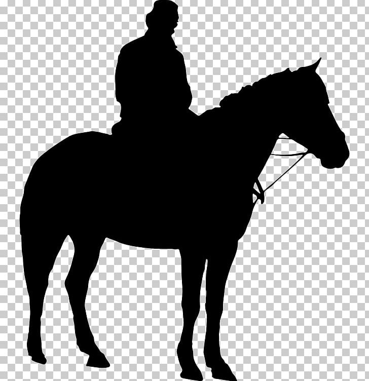 American Quarter Horse Equestrian Silhouette PNG, Clipart, Animals, Bit, Black And White, Bridle, Cowboy Free PNG Download