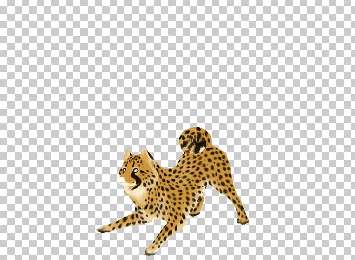 Cheetah PNG, Clipart, Animal, Animals, Big Cat, Big Cats, Carnivora Free PNG Download