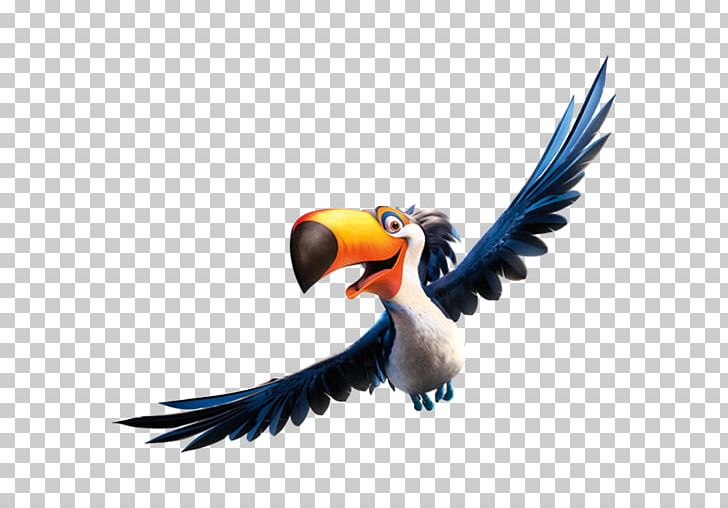 Hornbill Macaw Parrot Vulture Wing PNG, Clipart, Beak, Bird, Character, Computer Icons, Desktop Wallpaper Free PNG Download