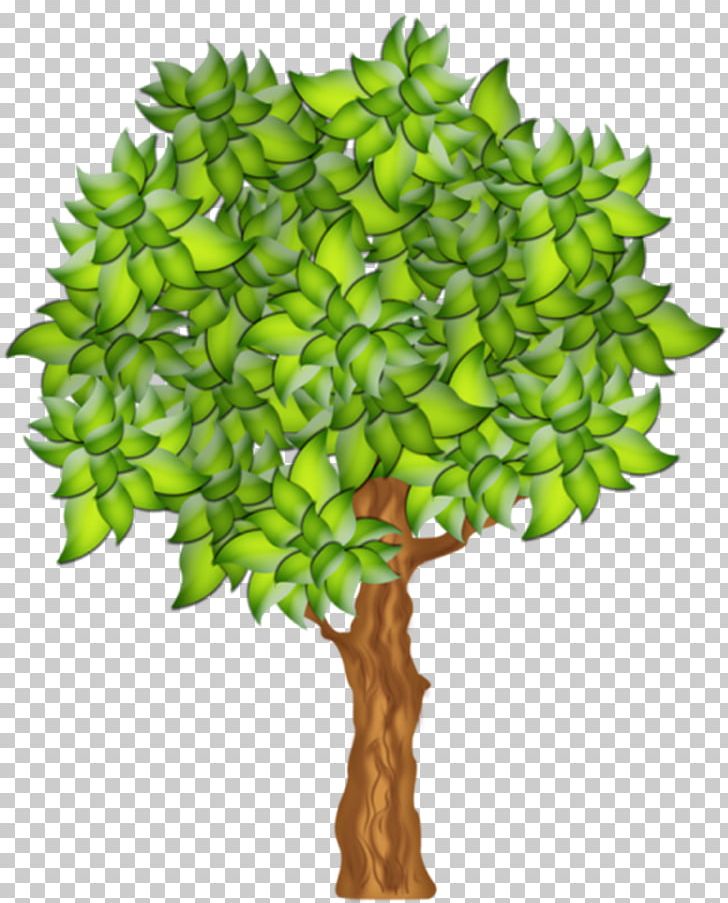 Fruit Tree PNG, Clipart, Apple, Branch, Drawing, Flowerpot, Fruit Free PNG Download