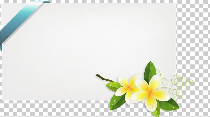 Photography Author Albom Floral Design PNG, Clipart, Albom, Author, Computer, Computer Wallpaper, Desktop Wallpaper Free PNG Download