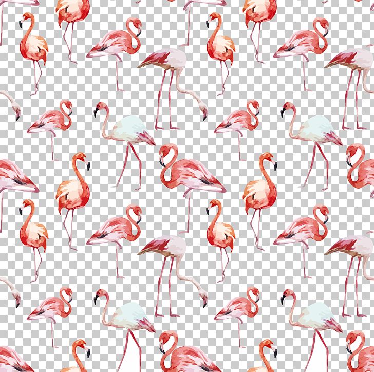 Flamingo Bird PNG, Clipart, Animals, Background, Beak, Design, Desktop Wallpaper Free PNG Download