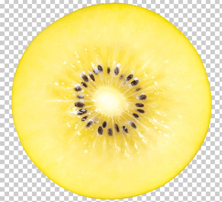 Kiwifruit Close-up PNG, Clipart, Circle, Closeup, Closeup, Eye, Food Free PNG Download