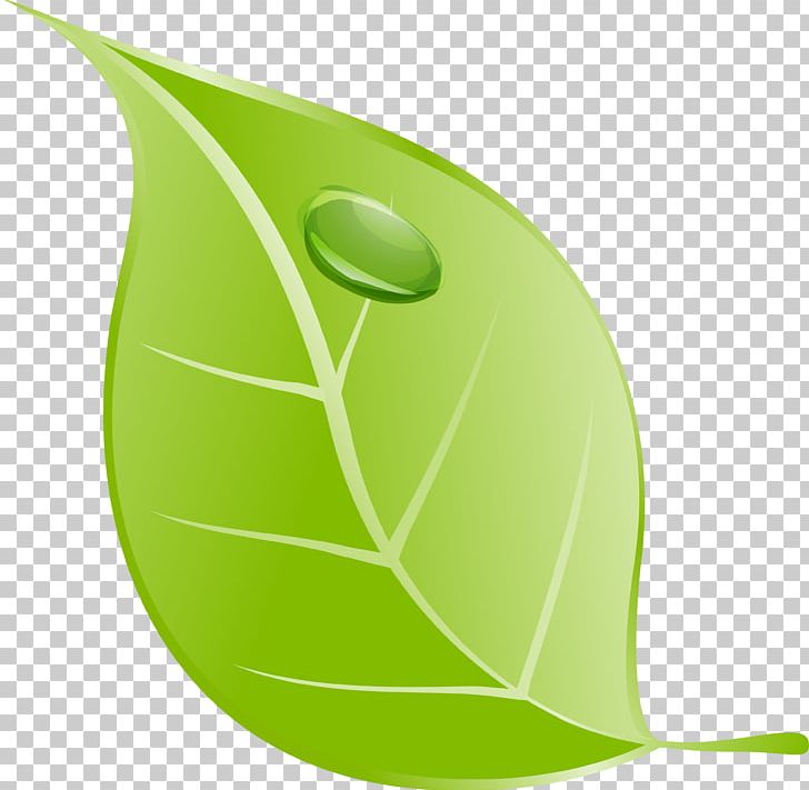 Leaflet PNG, Clipart, Clip Art, Common Fig, Download, Fig Leaf, Green Free PNG Download