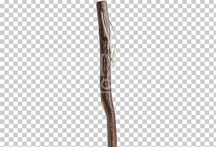 Walking Stick Middle Ages English Medieval Clothing Costume PNG, Clipart, Bastone, Branch, Cloak, Clothing, Clothing Accessories Free PNG Download