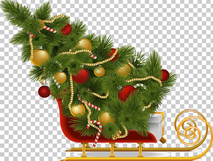 Santa Claus Christmas Tree Sled PNG, Clipart, Christmas Card, Christmas Decoration, Christmas Frame, Christmas Lights, Christmas Vector Free PNG Download