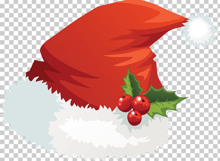 Santa Claus Santa Suit Hat PNG, Clipart, Cap, Christmas, Christmas Elf, Christmas Ornament, Fictional Character Free PNG Download