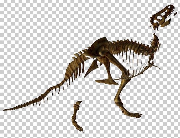Tyrannosaurus Skeleton Velociraptor Dinosaur Animal PNG, Clipart, Animal, Animal Figure, Bone, Computer Software, Dinosaur Free PNG Download