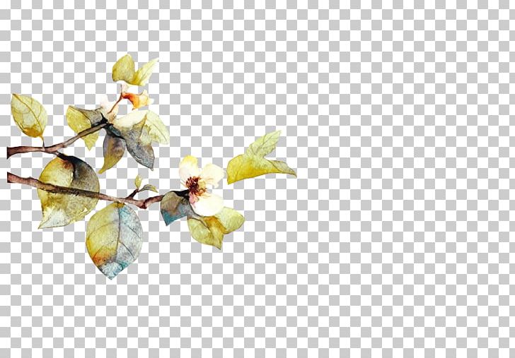 Watercolor Painting PNG, Clipart, Art, Blossom, Branch, Computer Wallpaper, Design Free PNG Download