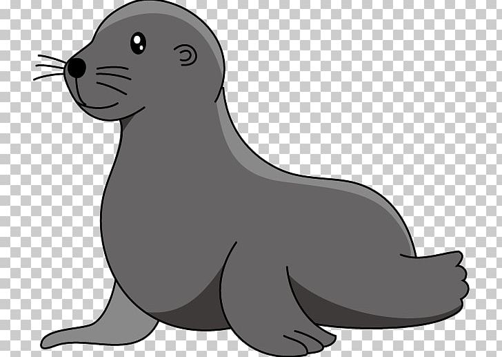 Baby Sea Lion Elephant Seal PNG, Clipart, Animals, Art, Baby Sea Lion, Black And White, California Sea Lion Free PNG Download