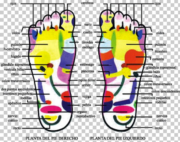 Mental Health Human Behavior Foot Sole PNG, Clipart, Angle, Area, Behavior, Description, Diagram Free PNG Download