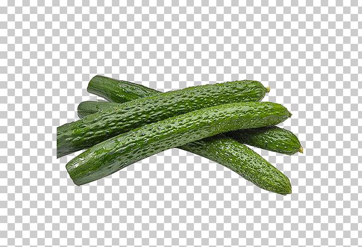 Slicing Cucumber Pickled Cucumber Luan Melon Seed Tea Vegetable PNG, Clipart, Auglis, Bitter Melon, Cuc, Cucumber, Cucumber Gourd And Melon Family Free PNG Download