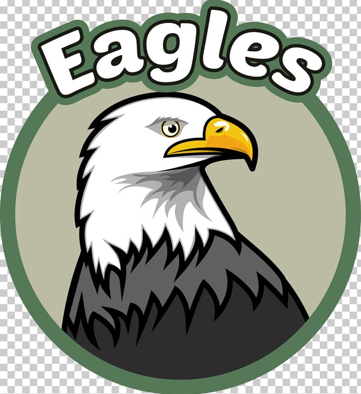 Bald Eagle Evergreen Elementary School Primary Education PNG, Clipart, Accipitriformes, Art School, Bald Eagle, Beak, Bird Free PNG Download