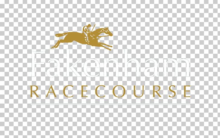 Fakenham Racecourse Race Track Norwich Horse Racing PNG, Clipart,  Free PNG Download