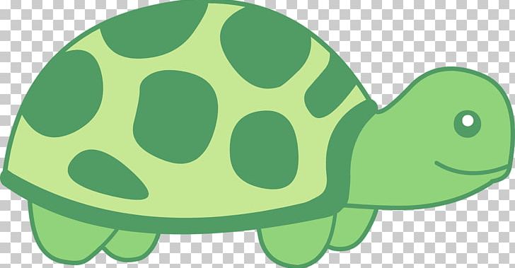 Sea Turtle Reptile PNG, Clipart, Amphibian, Animals, Box Turtles, Download, Drawing Free PNG Download