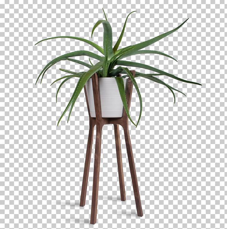 Woody Plant Flowerpot Table Houseplant PNG, Clipart, Arecales, Com, Container, Flowerpot, Flower Stand Free PNG Download