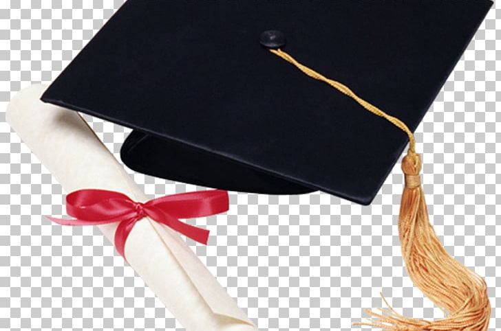Toga Graduation Ceremony School National Association For The Education Of Young Children Early Childhood Education PNG, Clipart, 2017, Ancient Rome, Batesville High School, Cap, Diploma Free PNG Download