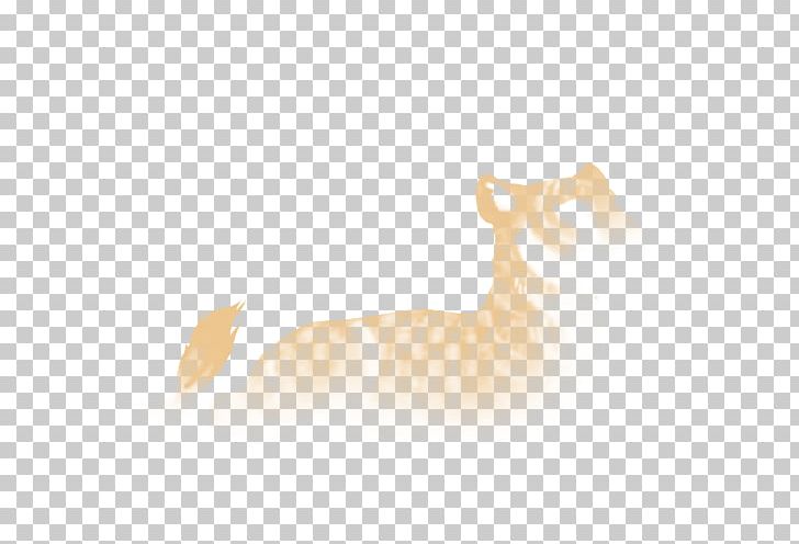 Whiskers Cat Dog Fur Wildlife PNG, Clipart, Animals, Canidae, Carnivoran, Cat, Cat Like Mammal Free PNG Download