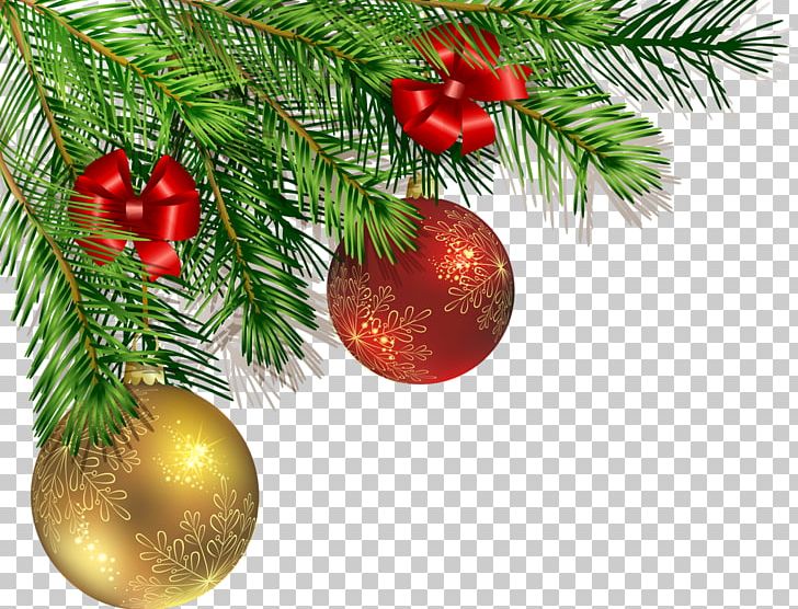 Christmas Ornament New Year PNG, Clipart, Branch, Christmas, Christmas Decoration, Christmas Ornament, Christmas Tree Free PNG Download