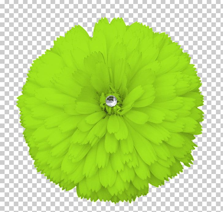 Flower Green Yellow PNG, Clipart, Annual Plant, Blue, Flower, Grass, Green Free PNG Download
