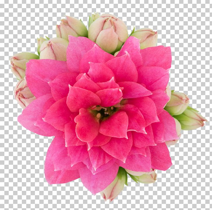 Stock Photography Cut Flowers PNG, Clipart, Artificial Flower, Cut Flowers, Dahlia, Depositphotos, Floral Design Free PNG Download