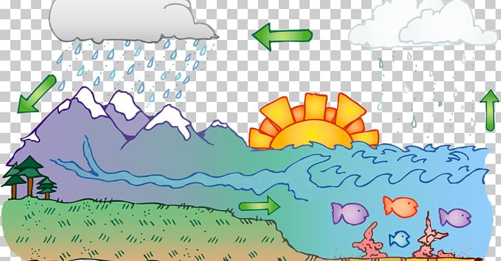 Water Cycle Diagram PNG, Clipart, Area, Cartoon, Condensation, Cycle, Diagram Free PNG Download